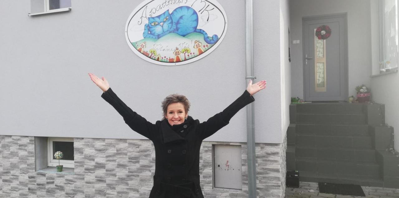 Apartmany Mk U Modre Kocky Nove Hrady  Bagian luar foto