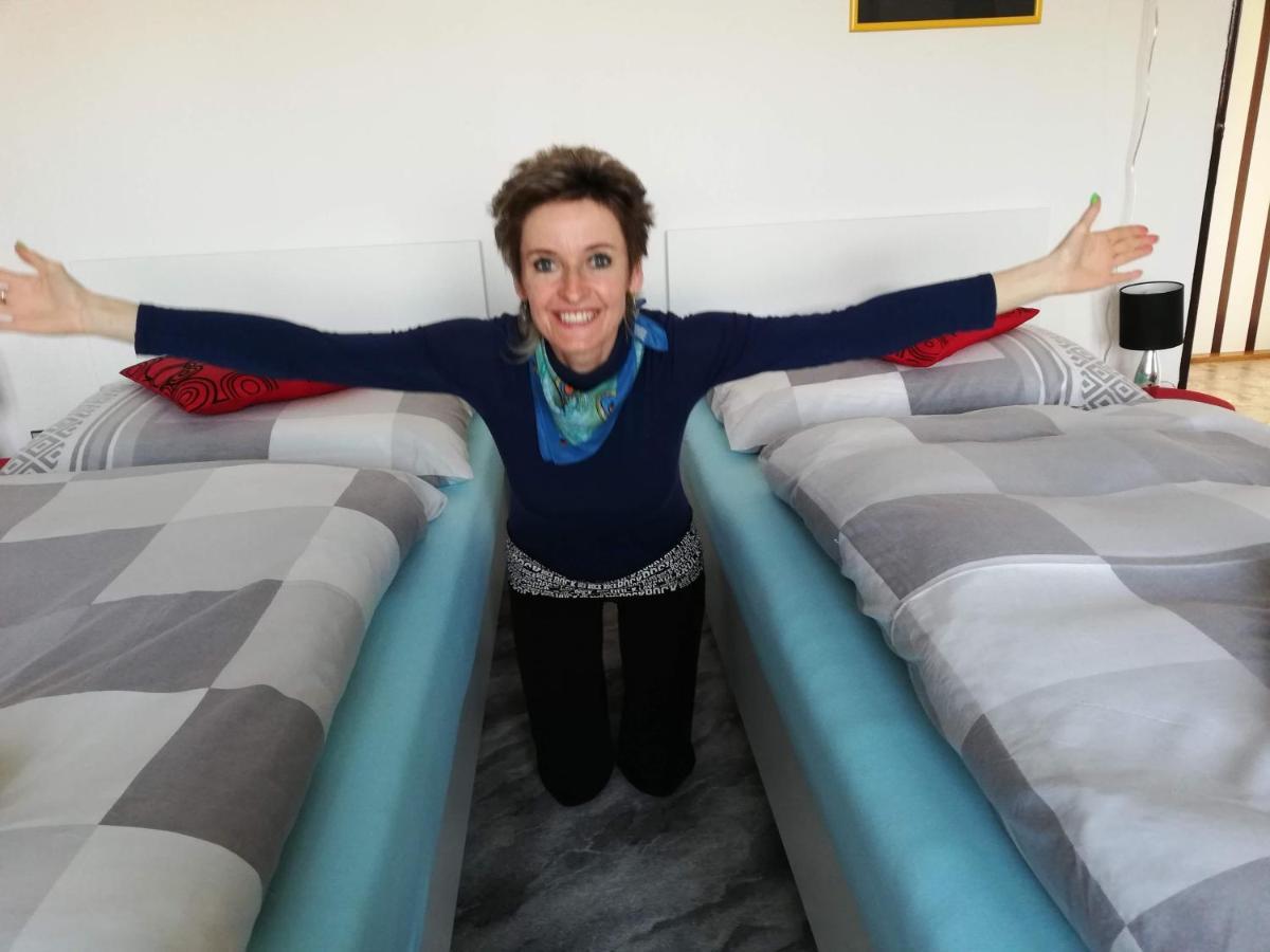 Apartmany Mk U Modre Kocky Nove Hrady  Bagian luar foto