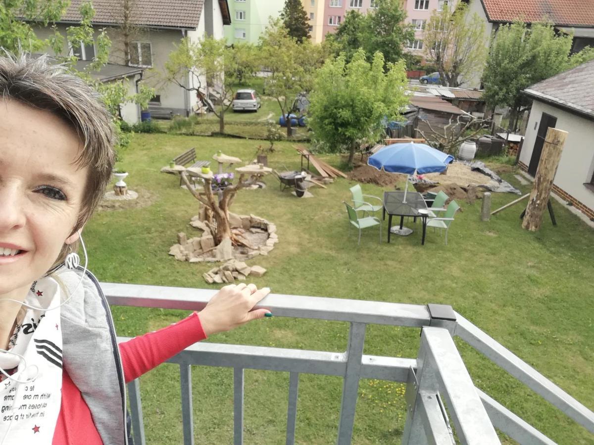 Apartmany Mk U Modre Kocky Nove Hrady  Bagian luar foto